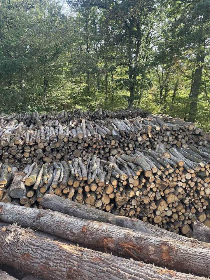 Bois de chauffage coupé Lésigny