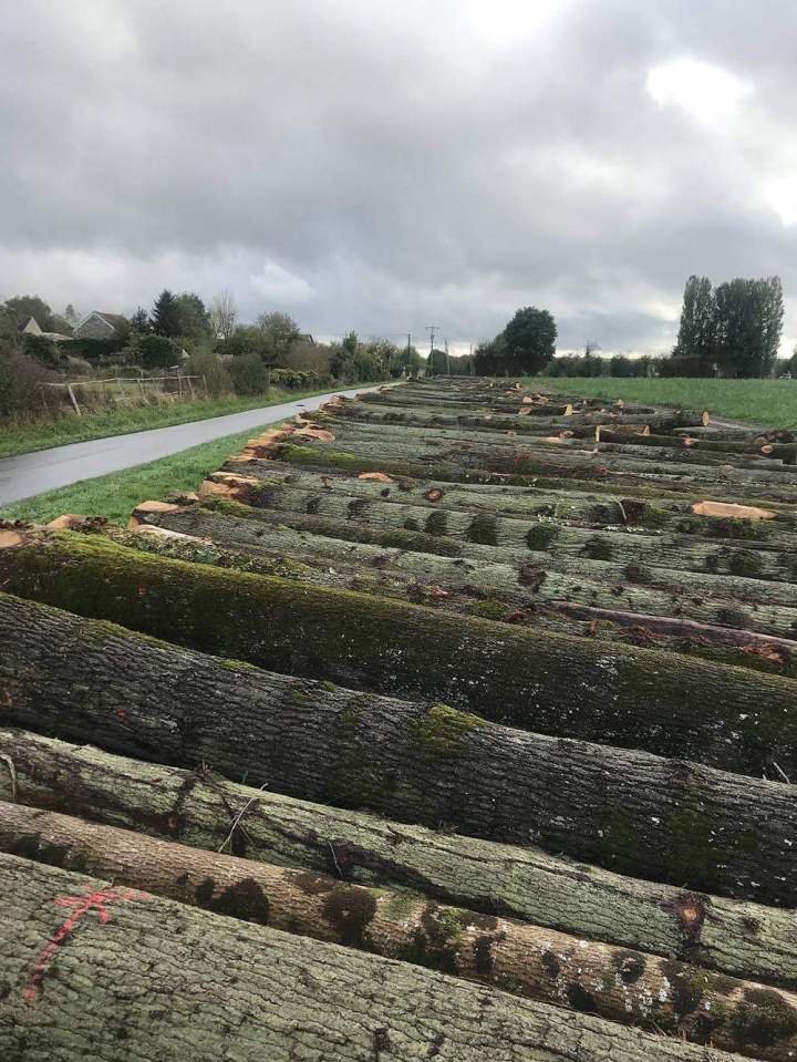 Bois de chauffage sec Lésigny