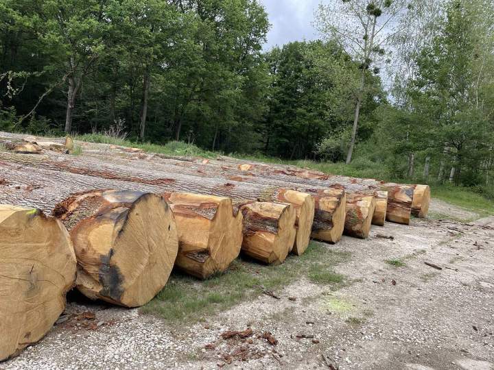 Bois de chauffage sec Lésigny