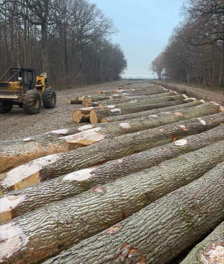 Livraison de bois de chauffage Lésigny