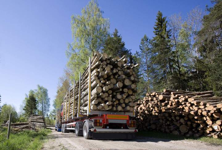 Livraison de bois de chauffage Lésigny